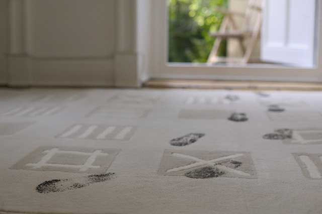 common carpet stains denver
